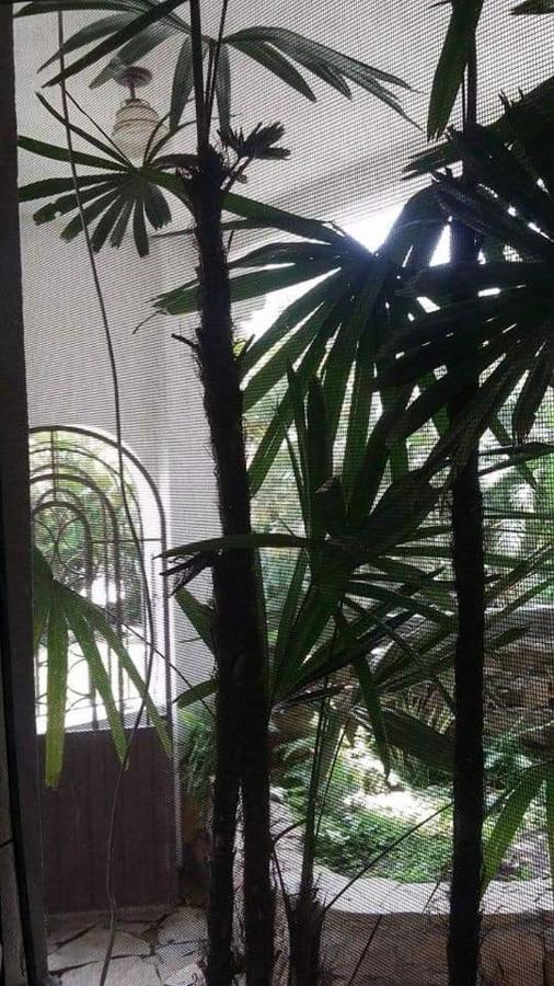 Hotel Raiz De Sierra Matlapa Eksteriør bilde