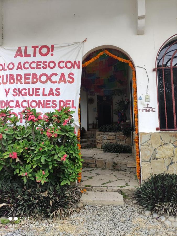 Hotel Raiz De Sierra Matlapa Eksteriør bilde