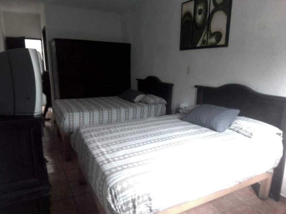Hotel Raiz De Sierra Matlapa Eksteriør bilde